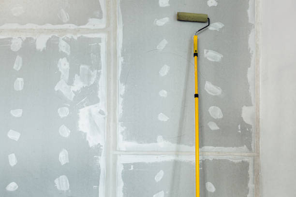  Minor, AL Mold Removal Pros