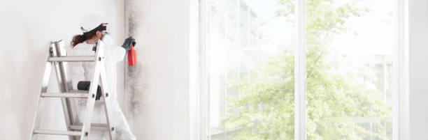 Minor, AL Mold Removal Company