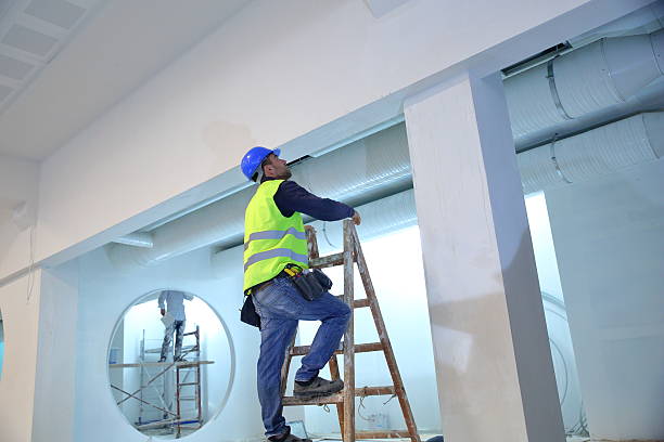 Best Mold Damage Restoration  in Minor, AL