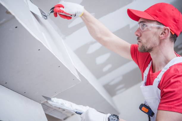 Best Water Damage & Mold Remediation  in Minor, AL